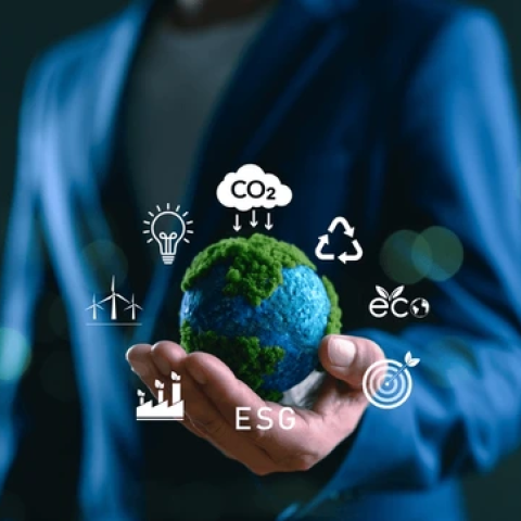 Building a Sustainable Business: Environmental and Social Responsibility