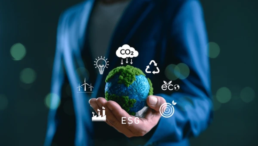 Building a Sustainable Business: Environmental and Social Responsibility