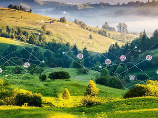 Environmental Impact Assessment (EIA)