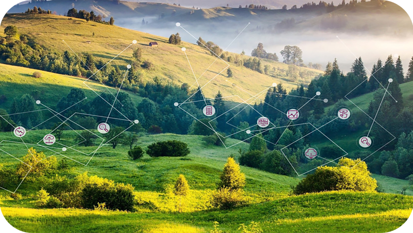 Environmental Impact Assessment (EIA)